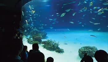 Sunshine Aquarium