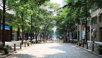 丸の内仲通り