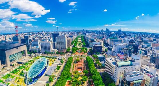 Tokyo Business District