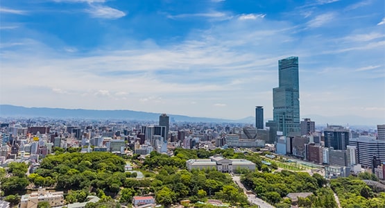 Tokyo Business District